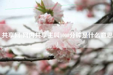 共享网(网内共享主叫1000分钟是什么意思)