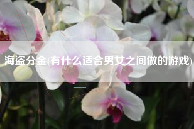 海盗分金(有什么适合男女之间做的游戏)