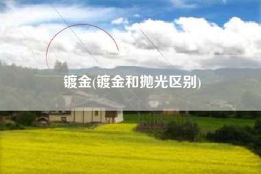 镀金(镀金和抛光区别)