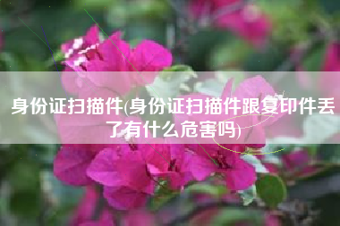 身份证扫描件(身份证扫描件跟复印件丢了有什么危害吗)