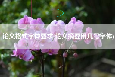 论文格式字体要求(论文摘要用几号字体)