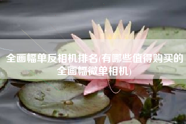 全画幅单反相机排名(有哪些值得购买的全画幅微单相机)