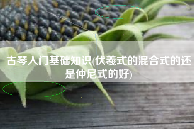 古琴入门基础知识(伏羲式的混合式的还是仲尼式的好)