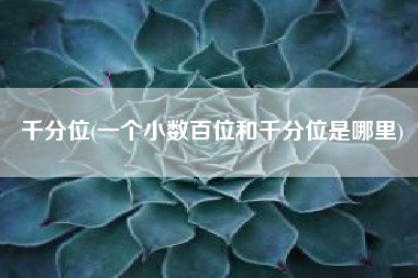 千分位(一个小数百位和千分位是哪里)