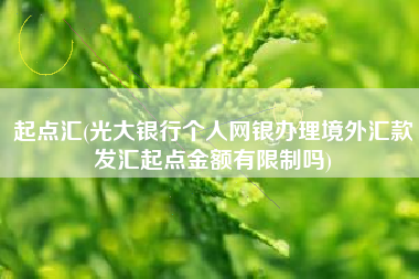 起点汇(光大银行个人网银办理境外汇款发汇起点金额有限制吗)
