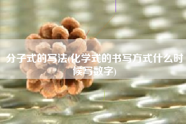 分子式的写法(化学式的书写方式什么时候写数字)