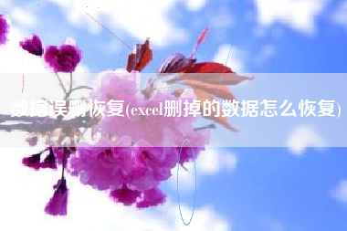 数据误删恢复(excel删掉的数据怎么恢复)