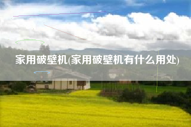 家用破壁机(家用破壁机有什么用处)