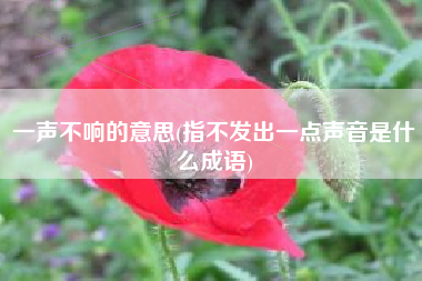 一声不响的意思(指不发出一点声音是什么成语)