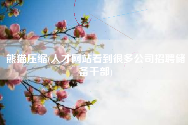 熊猫压缩(人才网站看到很多公司招聘储备干部)