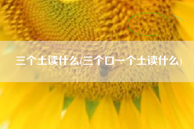 三个土读什么(三个口一个土读什么)