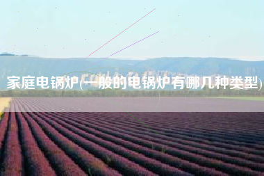 家庭电锅炉(一般的电锅炉有哪几种类型)