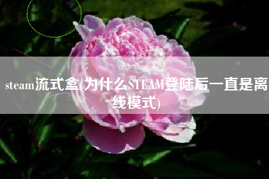 steam流式盒(为什么STEAM登陆后一直是离线模式)