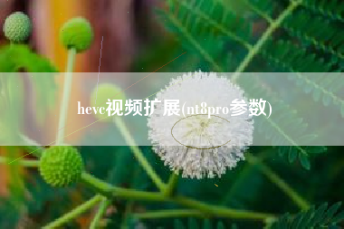 hevc视频扩展(nt8pro参数)