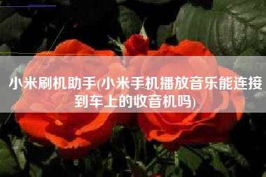 小米刷机助手(小米手机播放音乐能连接到车上的收音机吗)