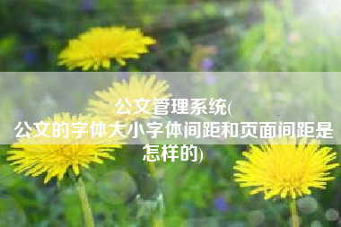 公文管理系统(
公文的字体大小字体间距和页面间距是怎样的) 公文管理系统(
公文的字体大小字体间距和页面间距是怎样的)