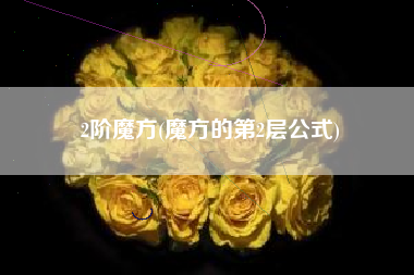 2阶魔方(魔方的第2层公式)