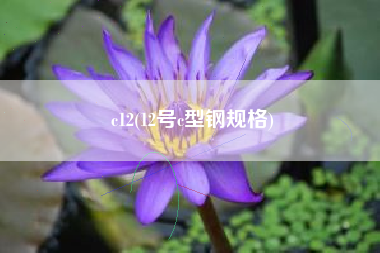 c12(12号c型钢规格)