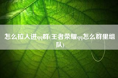 怎么拉人进qq群(王者荣耀qq怎么群里组队)