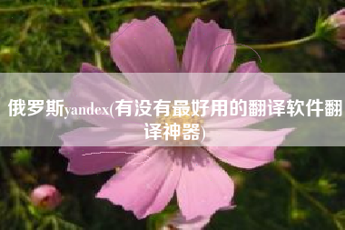 俄罗斯yandex(有没有最好用的翻译软件翻译神器)