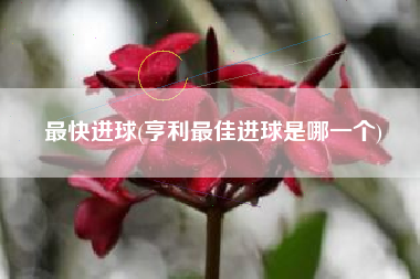 最快进球(亨利最佳进球是哪一个)