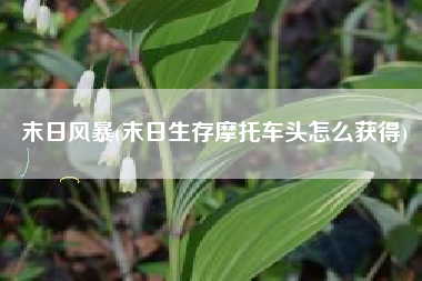 末日风暴(末日生存摩托车头怎么获得)