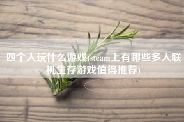 四个人玩什么游戏(steam上有哪些多人联机生存游戏值得推荐)