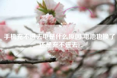手机充不进去电是什么原因(电池也换了还是充不进去)
