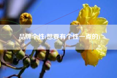 品牌个性(想要有个性一点的)