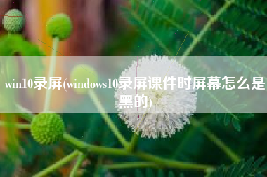win10录屏(windows10录屏课件时屏幕怎么是黑的)