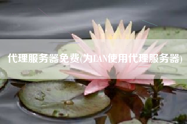 代理服务器免费(为LAN使用代理服务器)