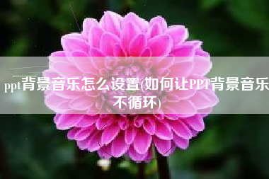 ppt背景音乐怎么设置(如何让PPT背景音乐不循环)
