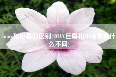 imax和巨幕的区别(IMAX巨幕和3D版本有什么不同)