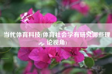 当代体育科技(体育社会学有研究哪些理论视角)