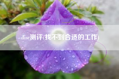 disc测评(找不到合适的工作)