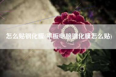 怎么贴钢化膜(平板电脑钢化膜怎么贴)