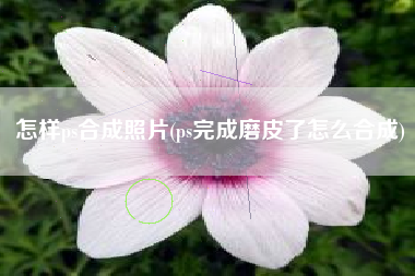 怎样ps合成照片(ps完成磨皮了怎么合成)