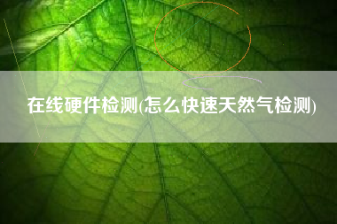 在线硬件检测(怎么快速天然气检测)