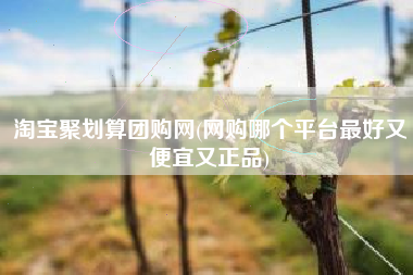 淘宝聚划算团购网(网购哪个平台最好又便宜又正品)