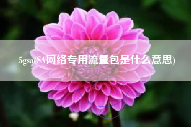 5gsa(SA网络专用流量包是什么意思)