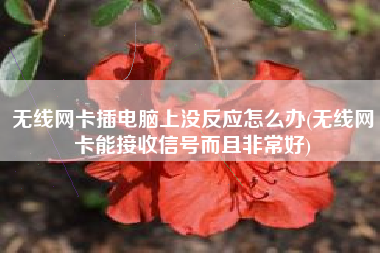 无线网卡插电脑上没反应怎么办(无线网卡能接收信号而且非常好)