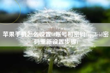 苹果手机怎么设置id账号和密码(appleid密码重新设置步骤)