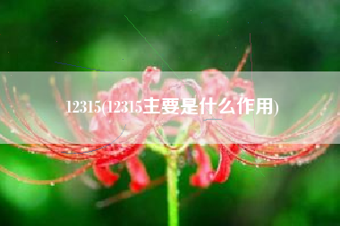12315(12315主要是什么作用)