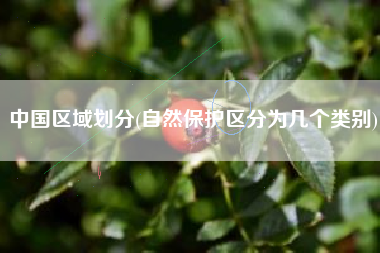 中国区域划分(自然保护区分为几个类别)