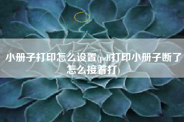 小册子打印怎么设置(pdf打印小册子断了怎么接着打)