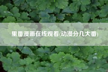 里番漫画在线观看(动漫分几大番)