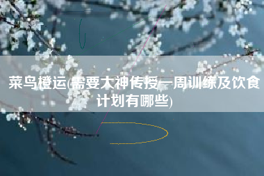 菜鸟橙运(需要大神传授一周训练及饮食计划有哪些)