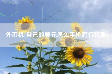 外币机(自己的美元怎么手机跨行转账)