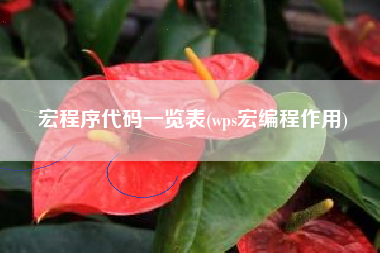 宏程序代码一览表(wps宏编程作用)