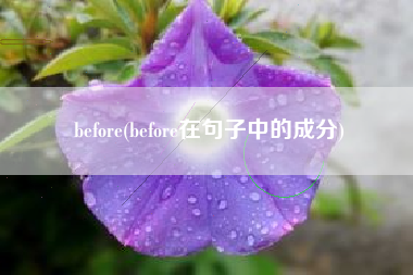 before(before在句子中的成分)